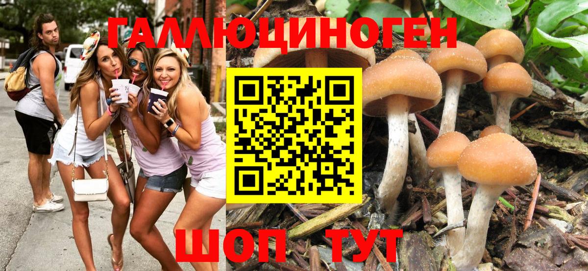 Галлюциногенные грибы мицелий  наркота  Галлюциногенные грибы Psilocybine cubensis  Аксай  Вход с VPN 